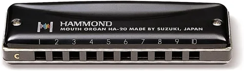Vista 8 de Otra armónica, negra (HAMMOND HA-20 G)