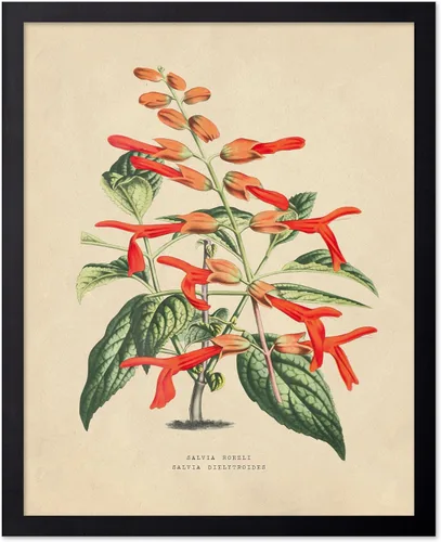 Vista 73 de Poster Master Póster Vintage de Titmouse Canadiense - Impresión Retro de Aves de América - Arte de Aves - Regalo para Hombres, Mujeres y Amantes