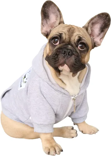 Vista 14 de iChoue - Disfraces para perros, I am a French Bulldog, suéteres divertidos, abrigos de invierno, sudaderas con capucha, Frenchie Pitbull Corgi, Pug