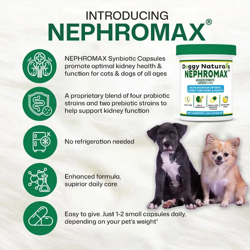 Vista 9 de NEPHROMAX™ Cápsulas Synbiotic para soporte renal para perros y gatos – 36 mil millones de CFU avanzada de próxima generación de mezcla