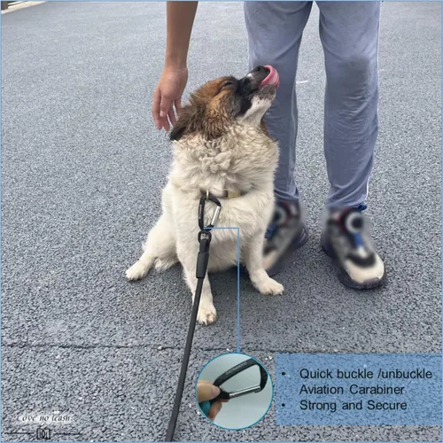 Vista 3 de Correa para perro que camina de 4 pies, cuerda de nailon duradera con mosquetón de aviación y práctico clip, soporte para bolsa de excrementos
