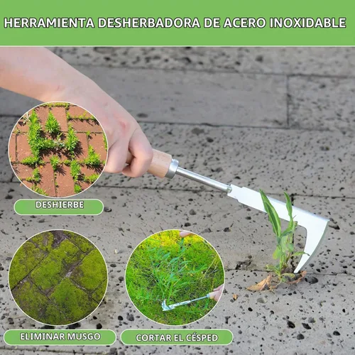 Vista 7 de Desbrozadora de grietas, herramienta de deshierbe de acero inoxidable de 12 pulgadas con mango de madera, espátula extractora de malezas