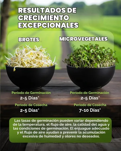 Vista 5 de Nature Jim's Sprout Organic Broccoli Seeds – Non-GMO, Sprouting Seeds - 8oz