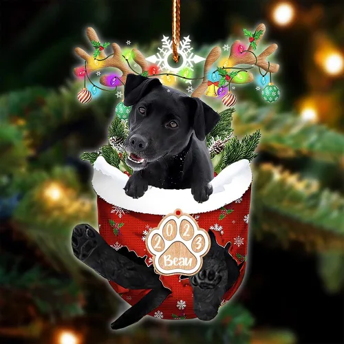 Vista 119 de NAZENTI Adorno Navideño de Bolsillo Personalizado de Affenpinscher en la Nieve, Adorno de Forma Acrílica de Perro, Adorno de Navidad 2023, Adorno