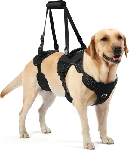 Vista 9 de NOYAL Arnés de elevación para perros para mascotas mayores y lesionadas – Soporte de cuerpo completo con malla transpirable, ayuda de pierna