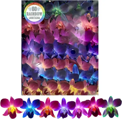 Vista 8 de Flores de orquídea frescas Miami OrchidClub USA Sunne Tropical en suelto, decoración para comida y bebida (100 AZUL PURPURA)
