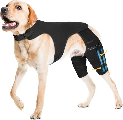Vista 10 de Rodillera para perro para pierna trasera desgarrada, 4 estabilizadores, soporte de cadera ajustable para reducir el dolor, lesiones de ligamentos