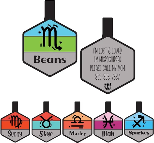 Vista 12 de Placa silenciosa para perro personalizada con 5 líneas de identificación de mascotas de silicona duradera y grabada profundamente, hexágono, azul