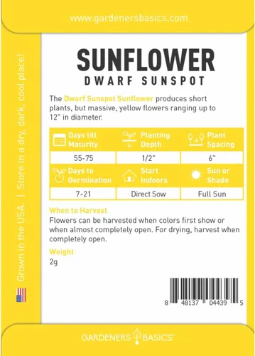 Vista 2 de Gardeners Basics, Semillas de girasol enano para plantar flores – Mancha solar amarilla) es una variedad de flores solares de polinización abierta