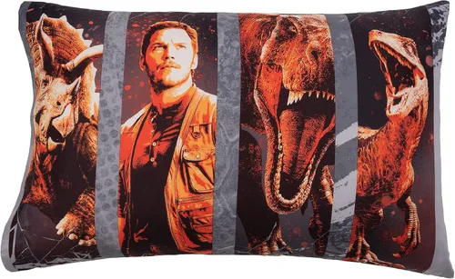 Vista 10 de Franco Funda de almohada de microfibra súper suave para niños, 20 x 30 pulgadas, LOL Surprise