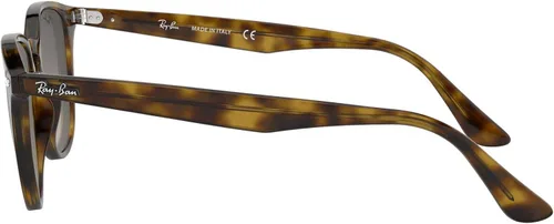 Vista 4 de Ray-Ban Rb4259 lentes de sol redondas