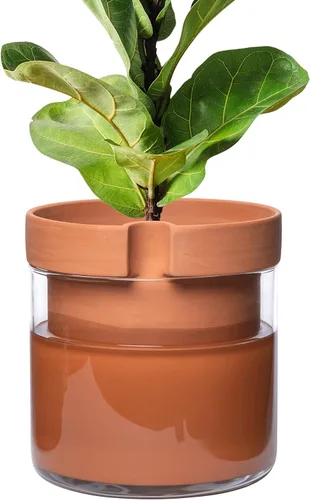 Vista 33 de Phoenix Vine Maceta de riego automático de 4 pulgadas, maceta de arcilla de terracota con depósito de vidrio para plantas de interior, hierbas