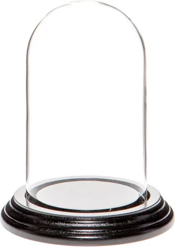Vista 11 de Plymor Cúpula de exhibición de cristal de 3 "x 5" (base de madera MDF negra)