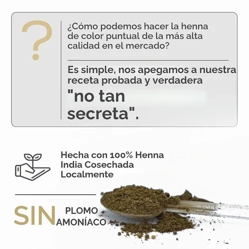 Vista 4 de Parallel Products Kit de color de henna - Tinte profesional para el cabello y retoque de raíces, mini colección de 0.11 oz para cobertura de canas