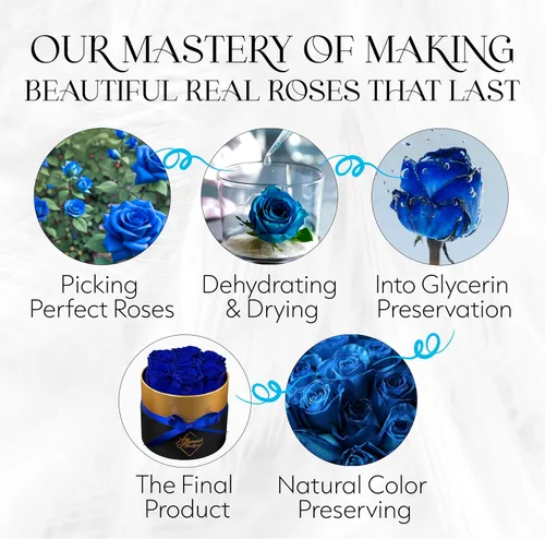 Vista 7 de GLAMOUR BOUTIQUE Rosas eternas preservadas en una caja, flores para siempre, rosa para siempre en una caja para esposa o ella, regalo de flores Azul