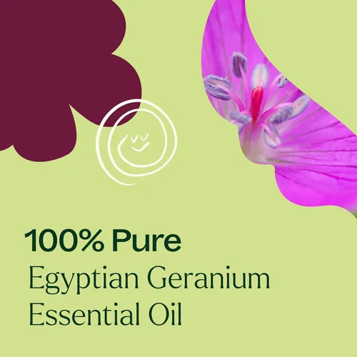 Vista 5 de Plant Therapy aceite esencial egipcio de geranio. (1/6 onzas).