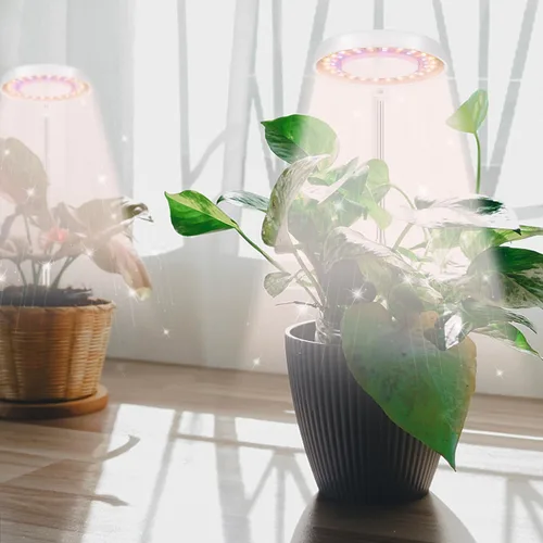 Vista 3 de GooingTop Luz LED de Crecimiento, Lámpara de Planta Halo para Plantas de Interior en Crecimiento, Luz Blanca Baja para Suculentas y Plantas Pequeñas