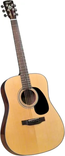 Vista 12 de Bristol por Blueridge BL-140/160 Series