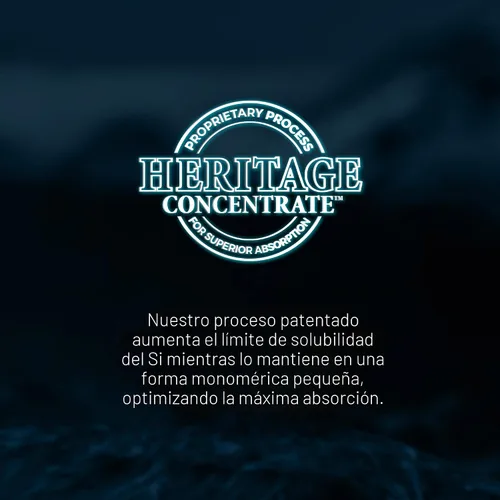 Vista 8 de Living Silica Gotas de sílice ORGONO - Tamaño de viaje Fórmula vegana y a base de minerales 3.4 fl oz