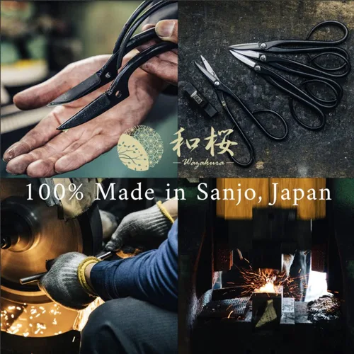 Vista 4 de Wazakura Yasugi Steel Made in Japan Ashinaga - Tijeras para bonsái de 8.2 pulgadas (8.268 in), tijeras de podar, herramientas japonesas
