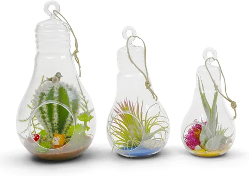 Vista 7 de WGV - Terrario de cristal colgante para plantas, ancho de 3 pulgadas, altura de 6 pulgadas, bombilla de aire para suculentas, jarrón transparente