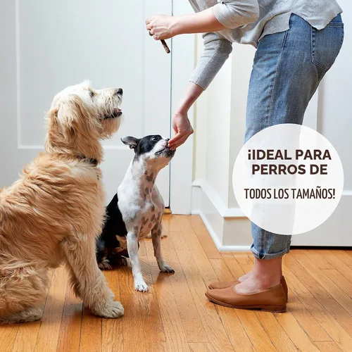 Vista 5 de Rocco & Roxie - Golosinas de cecina de res para perros, 1 libra, bocadillos de entrenamiento suaves hechos en Estados Unidos, cecina de res de alto