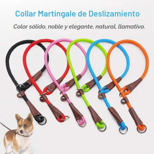 Vista 4 de MayPaw Collar ajustable de cuerda de nailon para entrenamiento de perros, collares de perro Martingala redondos sin tirones para perros pequeños
