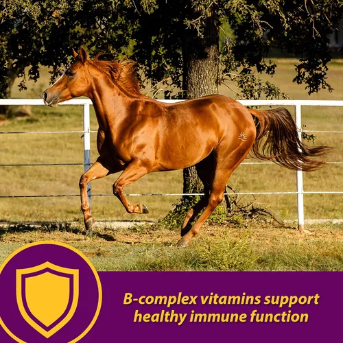 Vista 3 de Farnam Horse Health - Gránulos de glóbulos rojos, suplemento de vitaminas y hierro y minerales para caballos, ayuda a llenar importantes lagunas