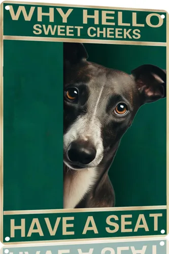 Vista 23 de Labrador Retriever - Letrero de metal con texto en inglés "Why Hello Sweet Cheeks Have A Seeks Have A Seeks" (1683)