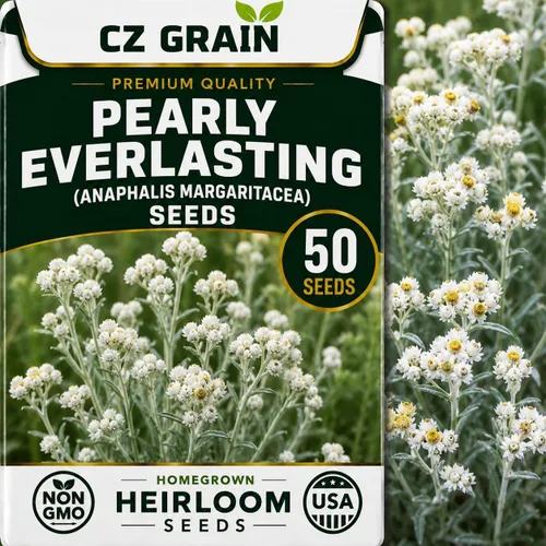 Vista 26 de CZ Grain Semillas para plantar, 40 pequeñas mezclas de calabaza