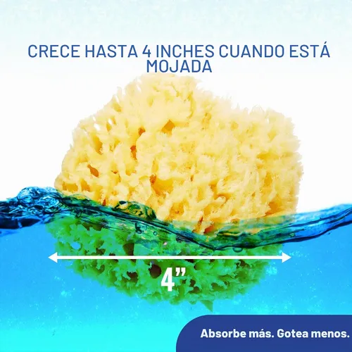 Vista 4 de Cepillo de dientes de dedo para bebés de Baby Buddy (paquete de 2)