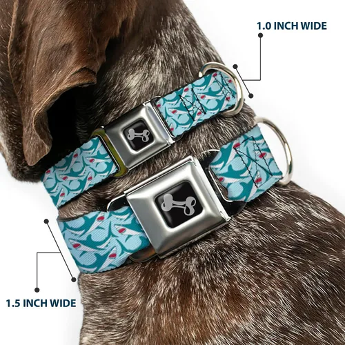 Vista 2 de Collar de perro hebilla de cinturón de seguridad tiburón 3 filas azul claro 9 a 15 pulgadas 1.0 pulgadas de ancho, multicolor Shark Rows Light