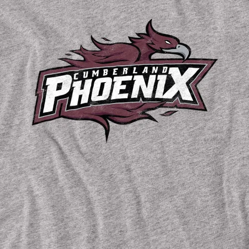 Vista 2 de Cumberland University - Camiseta unisex con logotipo primario envejecido oficial para adultos