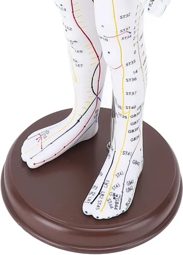 Vista 8 de Modelo de acupuntura de cuerpo humano de 20.5 in, modelo de acupuntura de punto de presión de maniquí de enseñanza de chino masculino/femenino