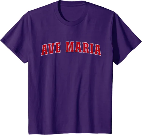 Vista 21 de Ave Maria FL Florida - Camiseta, Negro
