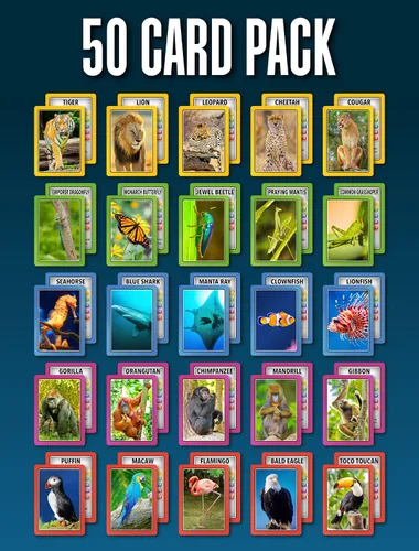 Vista 5 de SMART CARDS Animales Juego de cartas 7 juegos en 1 Snap, Rummy, pares y más Juego educativo de viaje A partir de 5 años, 1-8 jugadores
