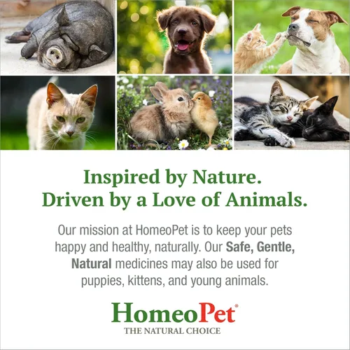 Vista 7 de HomeoPet Medicina para aliviar la ansiedad para mascotas, alivio natural de la ansiedad para perros y gatos, medicina calmante para gatos y perros