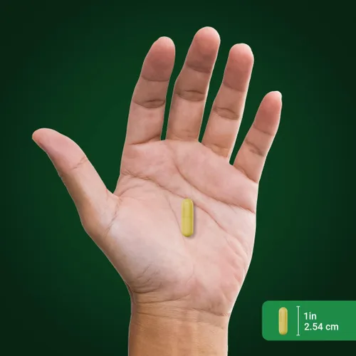 Vista 6 de Piping Rock Berberine HCI Ceylon Cinnamon Complex 120 cápsulas Suplemento de extracto de hierbas Fórmula vegetariana, sin OMG y sin gluten