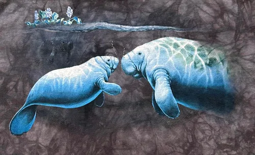 Vista 2 de Año de la playera del Manatee