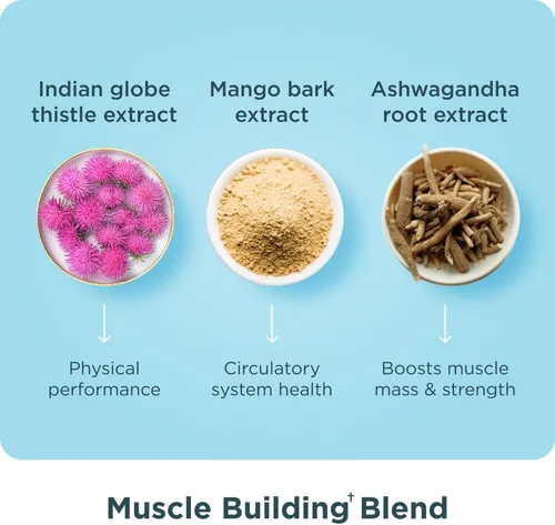 Vista 6 de Ancient Nutrition Advanced Multi Collagen Protein Cápsulas Musculares, 90