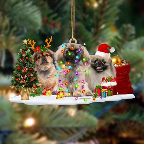 Vista 127 de Nazenti Adorno de Navidad personalizado con amigos Affenpinscher – Adorno de perro personalizado para amantes de las mascotas, acrílico plano