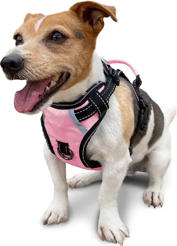 Vista 19 de Arnés antitirones para perro pequeño con 2 hebillas de liberación rápida y mango de fácil control, chaleco suave reflectante sin estrangulamiento