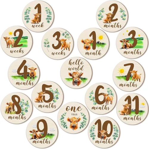 Vista 12 de Tiamon 16 tarjetas mensuales de madera para bebé, discos de marcador de hitos mensuales, círculos de madera de doble cara, letreros de meses
