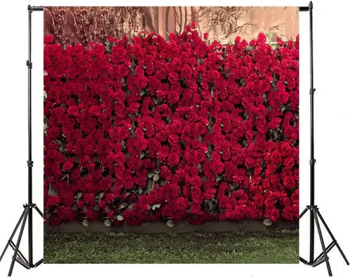 Vista 6 de AOFOTO Fondo de fotografía infantil de 5 x 7 pies para sesión de fotos para niños, romance, rosas rojas, flores, pared, suelos de hierba borrosa