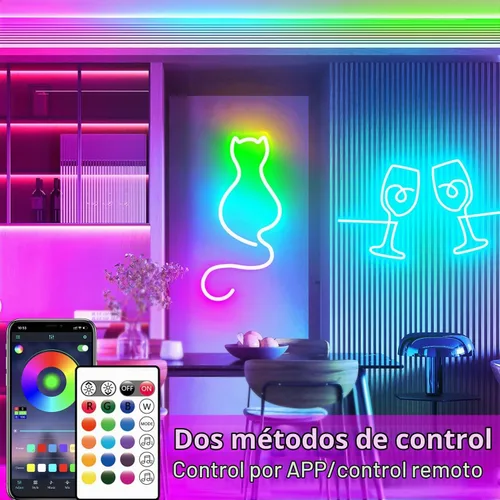 Vista 2 de segrass Luces de Cuerda LED de Neón RGB DC24V de 16.4 pies con Control Remoto/APP, Impermeables, Flexibles, Multicolor, Estilo Moderno