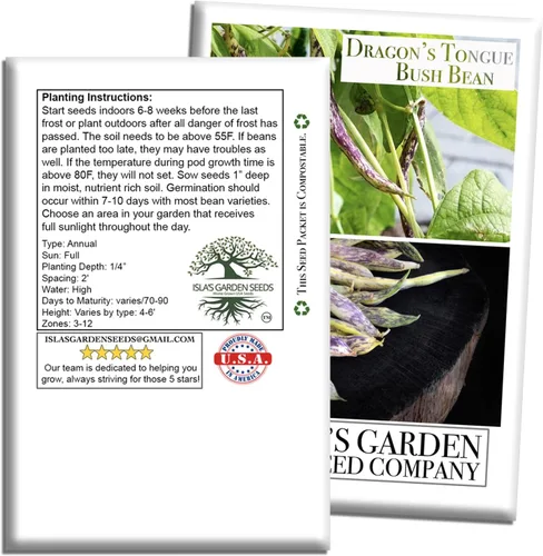 Vista 7 de Semillas de frijol Dragon's Tongue Bush (Dragon Langerie) – Más de 25 semillas sin OMG y reliquias, Phaseolus vulgaris, cápsulas de crema coloridas
