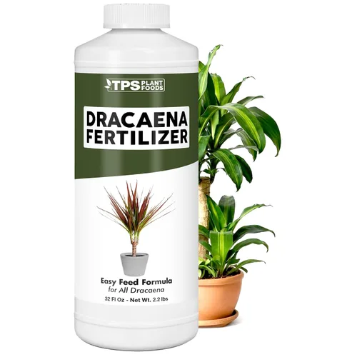 Vista 9 de Dracaena Fertilizante - Alimento líquido vegetal para hojas verdes ricas y crecimiento fuerte de la caña, 8 onzas