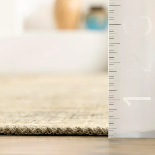 Vista 2 de nuLOOM Chana - Alfombra de área de tejido plano enmarcada con enrejado, 5 x 8 pulgadas, beige