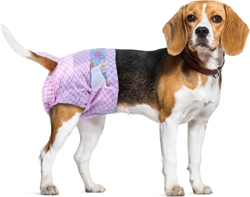 Vista 8 de Pañales desechables para perras, pañales absorbentes para perros, XXS, 40 unidades Pañales de cintura elástica ajustable para el calor, pañales a