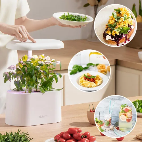 Vista 6 de Kit de semillas de hierbas hidropónicas inbloom para AeroGarden, iDoo, Ahopegarden, GARDENCUBE, 7 vainas